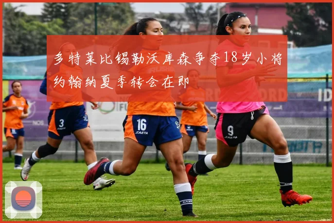多特莱比锡勒沃库森争夺18岁小将约翰纳夏季转会在即