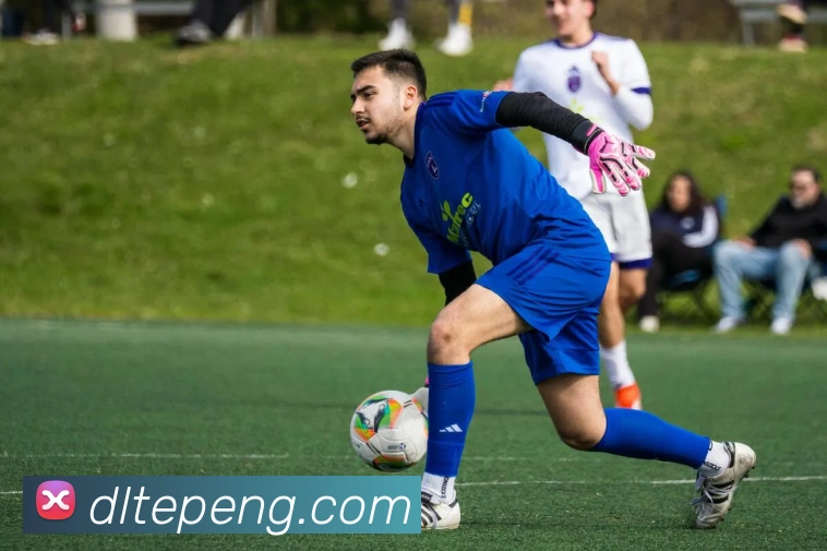 星空体育app网站，星空体育手机版下载，星空体育官网登录入口服务体系